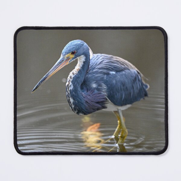 Item preview, Waiting to pounce designed and sold by Glennphotos.
