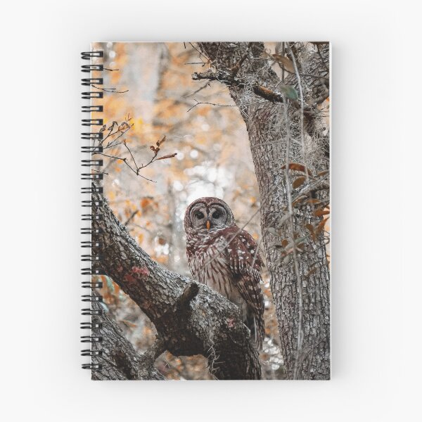 Item preview, Barred owl designed and sold by RikitikiTravi.