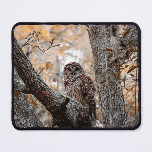 Item preview, Barred owl designed and sold by RikitikiTravi.