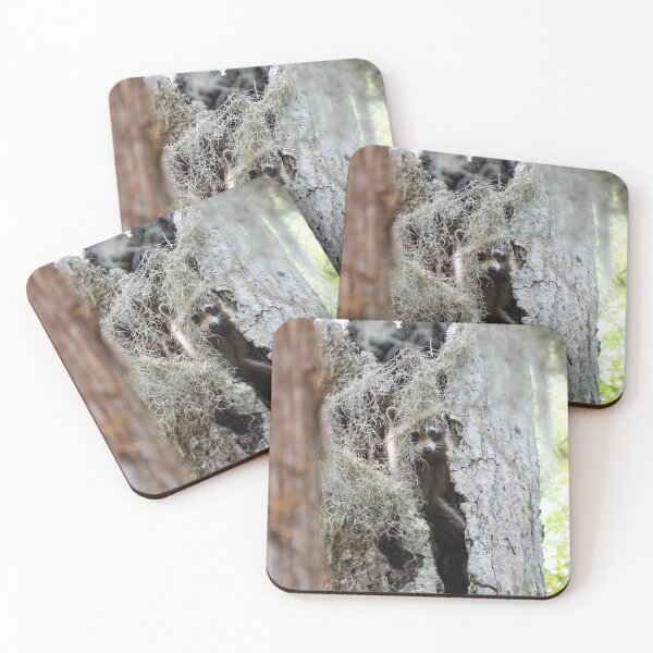 Item preview, Raccoon's comfy home designed and sold by RikitikiTravi.