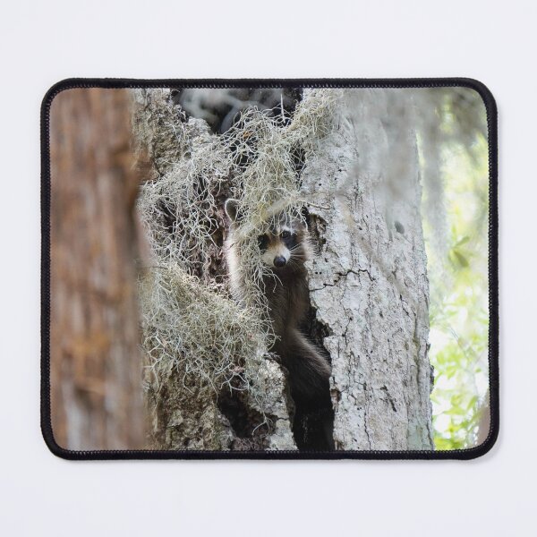 Item preview, Raccoon's comfy home designed and sold by RikitikiTravi.