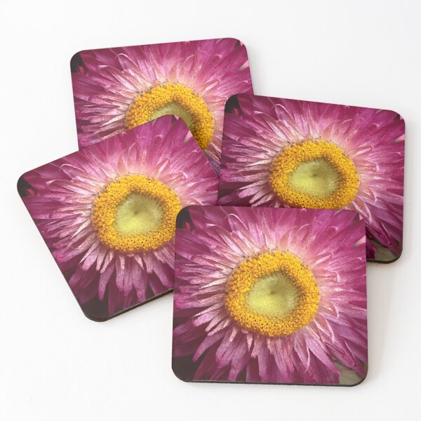 Item preview, Hope From a Bloom designed and sold by Betsy Phillips.