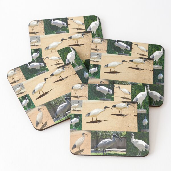 Item preview, Australian Ibis Photo Collage, designed and sold by A-Work-Of-Art.