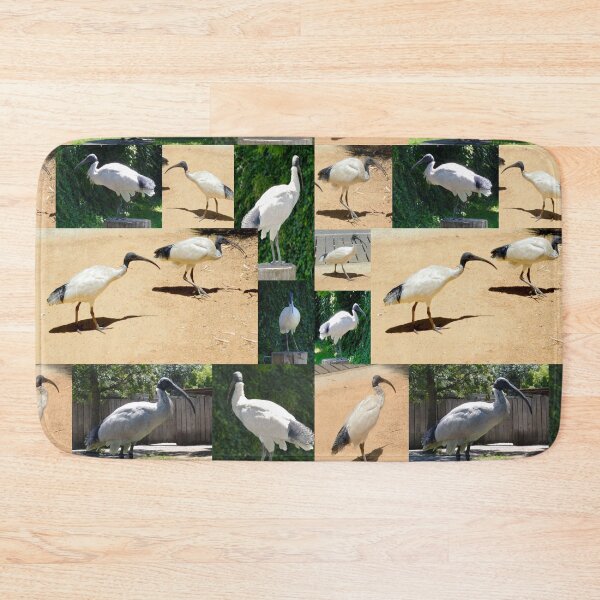 Item preview, Australian Ibis Photo Collage, designed and sold by A-Work-Of-Art.