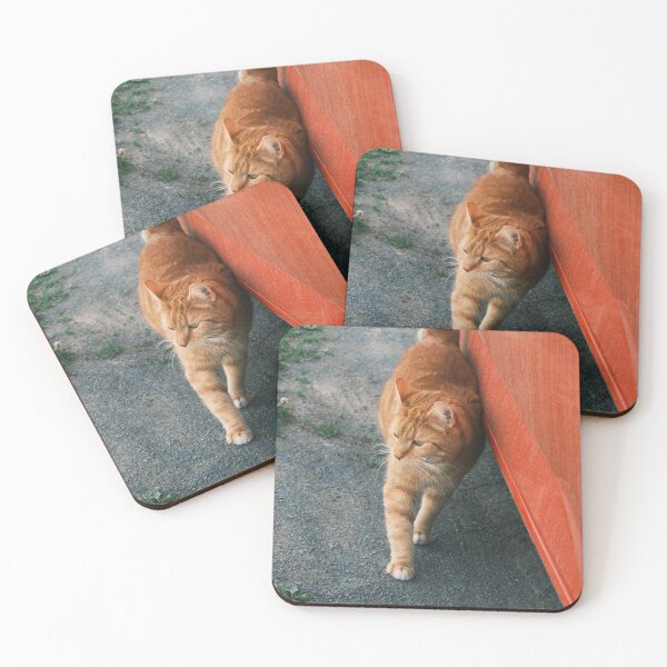 Item preview, Orange CAT designed and sold by mrvyn.