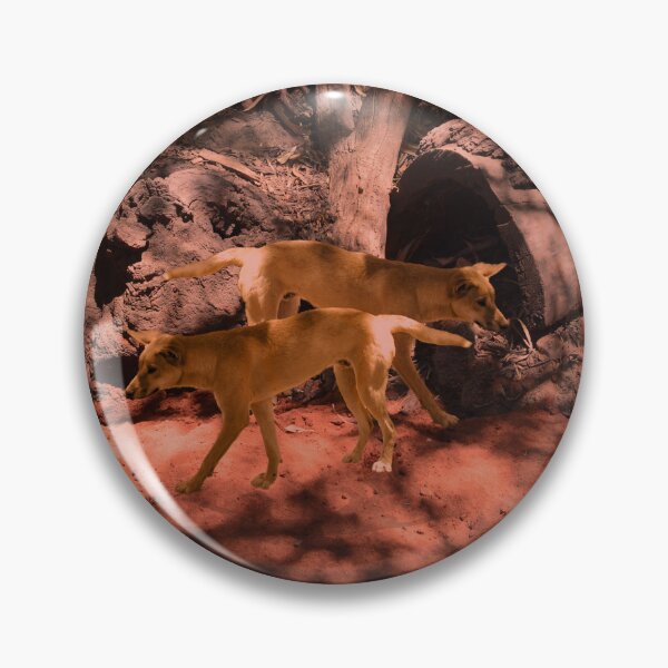 Item preview, Wildlife In The Bush: Two Australian Dingoes designed and sold by A-Work-Of-Art.