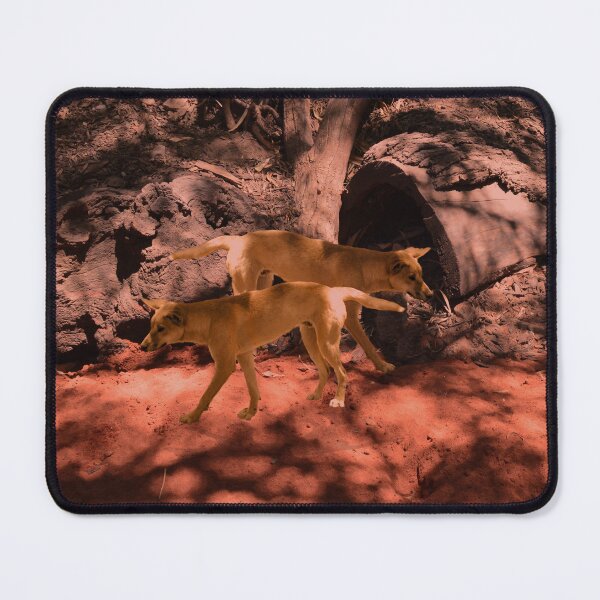 Item preview, Wildlife In The Bush: Two Australian Dingoes designed and sold by A-Work-Of-Art.