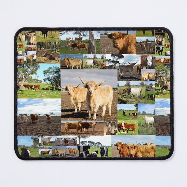 Item preview, Moo: Cows Of Different Breed Photo Collage designed and sold by A-Work-Of-Art.
