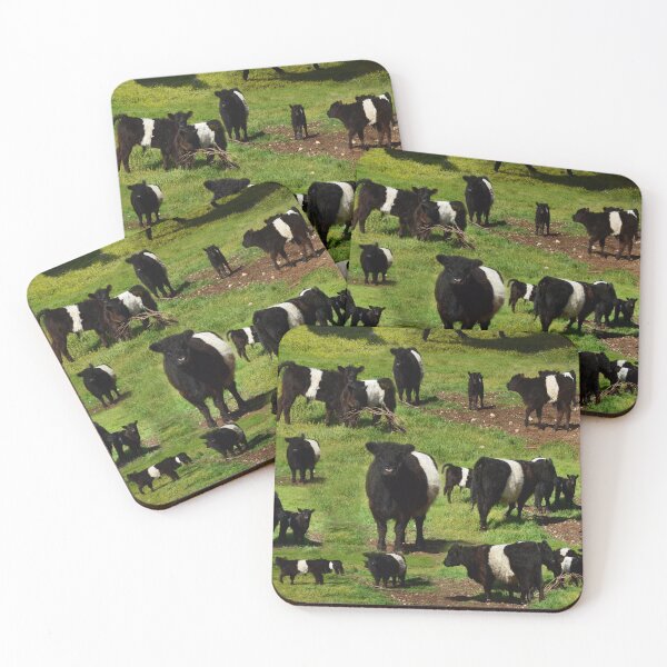 Item preview, Belted Galloway Calves And Cows Montage, designed and sold by A-Work-Of-Art.