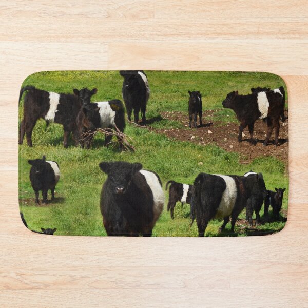 Item preview, Belted Galloway Calves And Cows Montage, designed and sold by A-Work-Of-Art.