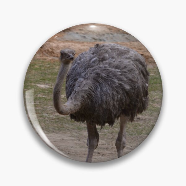 Item preview, Ostrich in Natural Habitat designed and sold by Zina Stromberg.