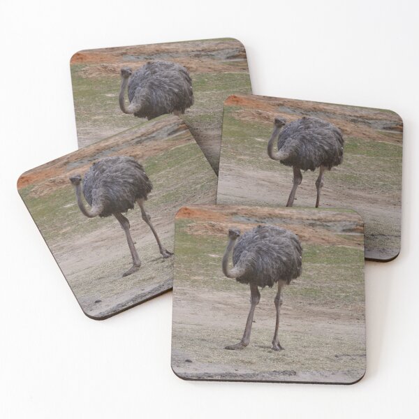 Item preview, Ostrich in Natural Habitat designed and sold by Zina Stromberg.