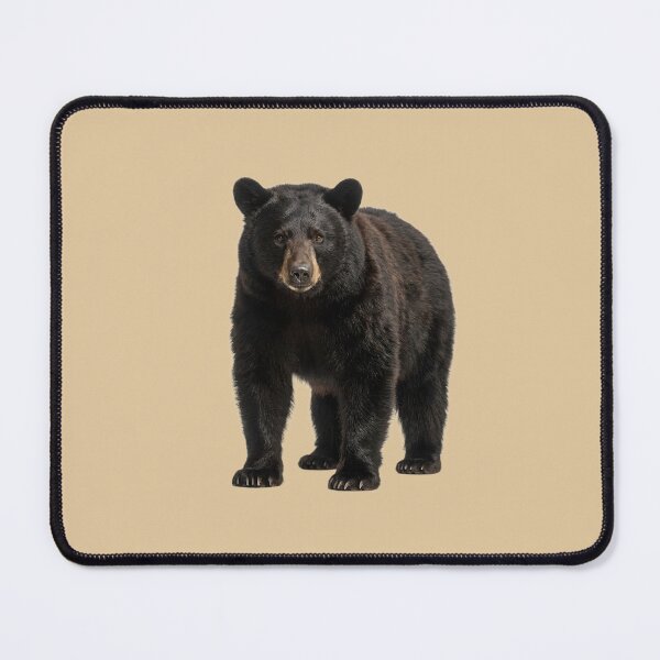 Item preview, American Black Bear designed and sold by ArunDandiboina.