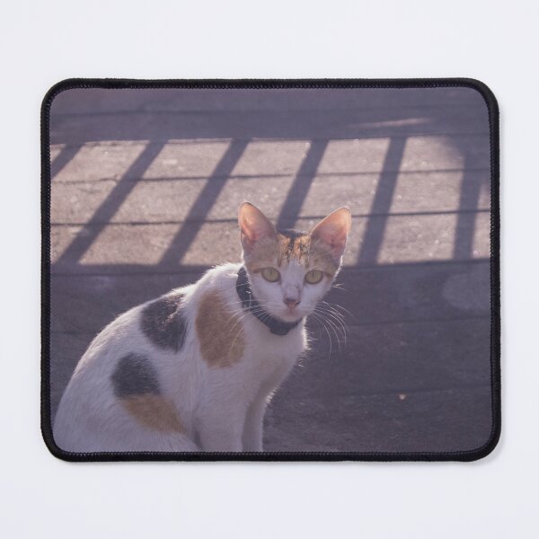 Item preview, Cute Spotted Cat designed and sold by ROSE ANN BANILAR.