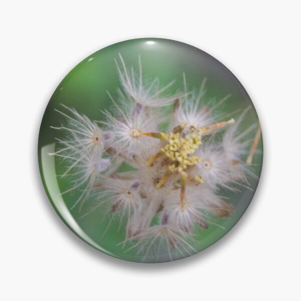 Item preview, Tridax procumbens 05 designed and sold by ROSE ANN BANILAR.