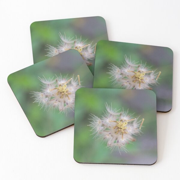 Item preview, Tridax procumbens 05 designed and sold by ROSE ANN BANILAR.