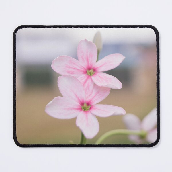 Item preview, Chinese honeysuckle designed and sold by ROSE ANN BANILAR.