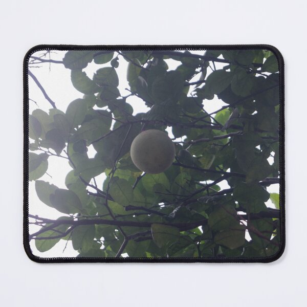 Item preview, Fruta del pomelo designed and sold by ROSE ANN BANILAR.