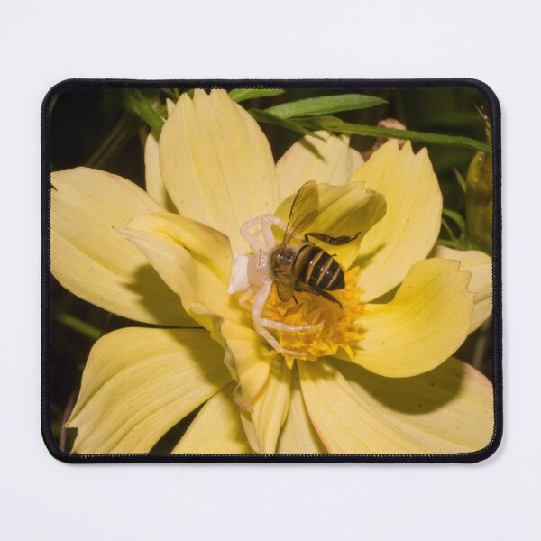 Item preview, Goldenrod crab spider designed and sold by ROSE ANN BANILAR.