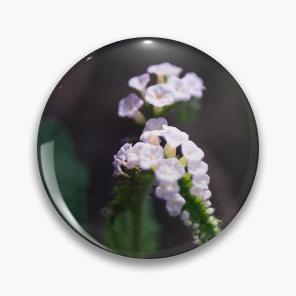 Item preview, Indian heliotrope designed and sold by ROSE ANN BANILAR.