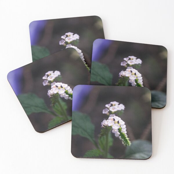Item preview, Indian heliotrope designed and sold by ROSE ANN BANILAR.