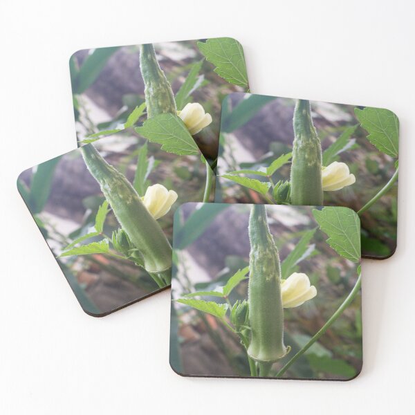 Item preview, Okra Vegetable designed and sold by ROSE ANN BANILAR.