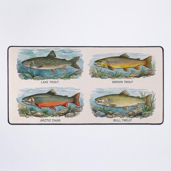 Item preview, Trout and Char of North America (Watercolor) designed and sold by Fish Town.