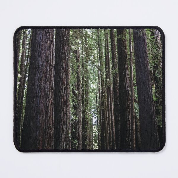 Item preview, Californian Redwoods at Warburton designed and sold by AB Travel Photography.