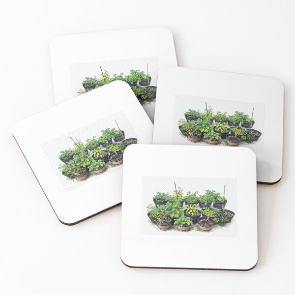 Item preview, Donna’s Container Garden Collection designed and sold by celestialseastc.