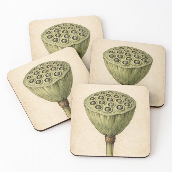 Item preview, Vintage Lotus Seed Pod Botanical Print - Antique Nature Illustration designed and sold by Darlin8888.