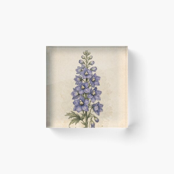 Item preview, Delphinium Elatum Vintage Botanical Print - Antique Floral Wall Art designed and sold by Darlin8888.