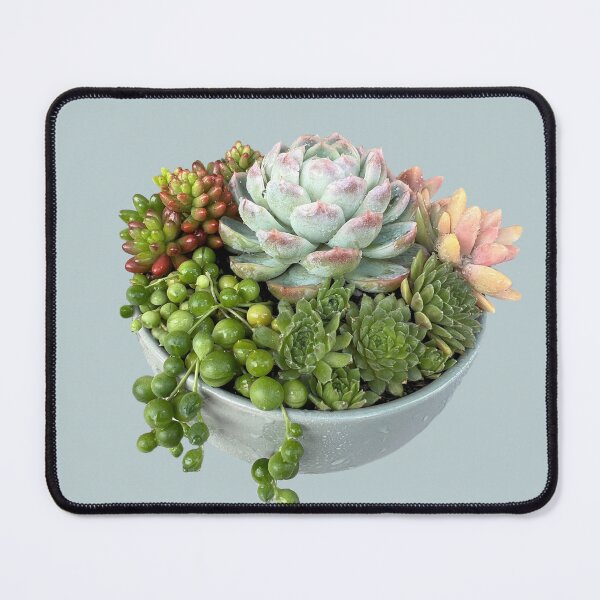 Item preview, Cheerful succulent centrepiece  designed and sold by Poplartree.