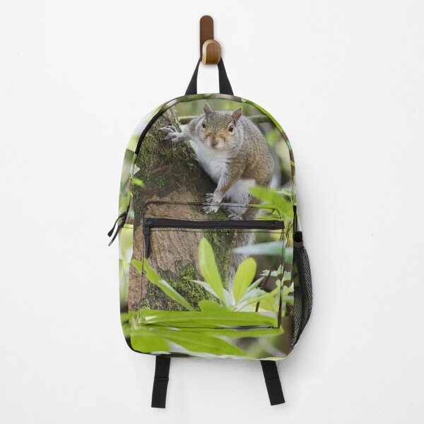 Item preview, Squirrel hiding in forest designed and sold by Stephen Jarman.