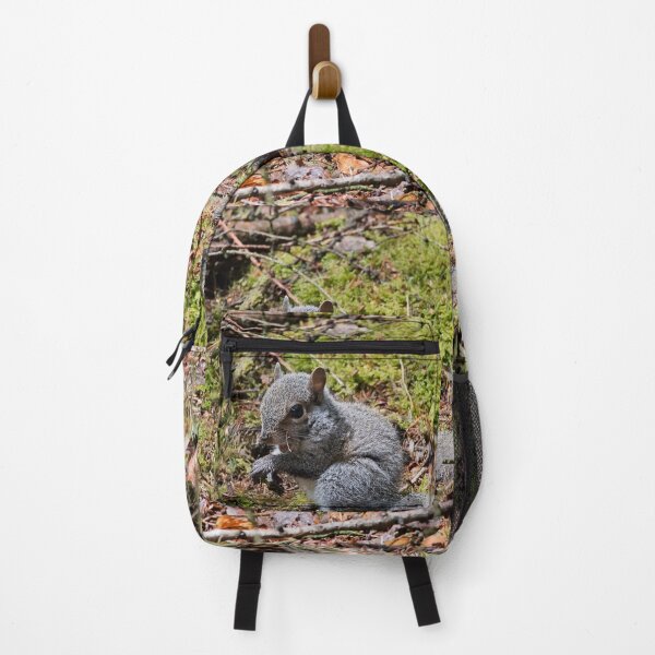 Item preview, Small squirrel eating designed and sold by Stephen Jarman.