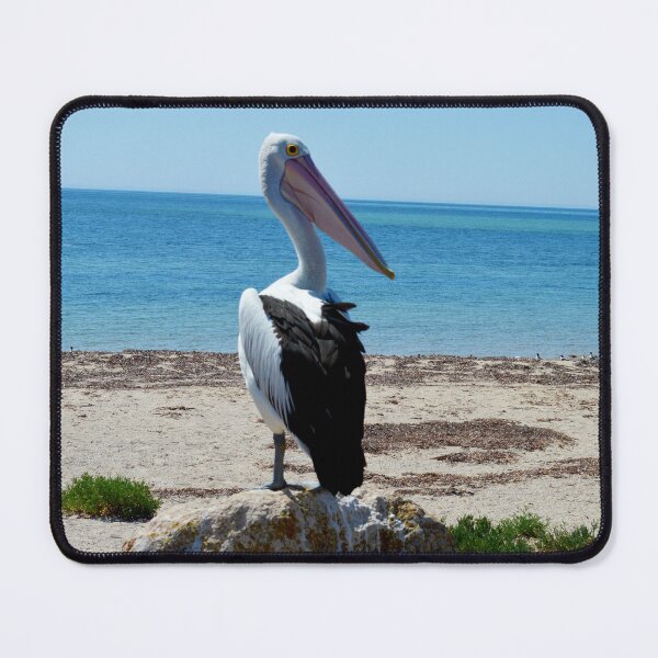 Item preview, Beach Pelican On Seaside Rocks, designed and sold by A-Work-Of-Art.