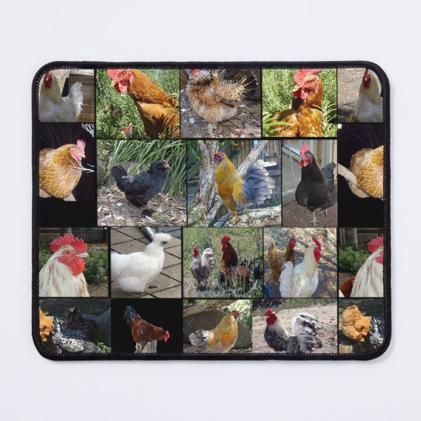 Aperçu de l'œuvre Collage de photos de races de poulet, créée et vendue par A-Work-Of-Art.