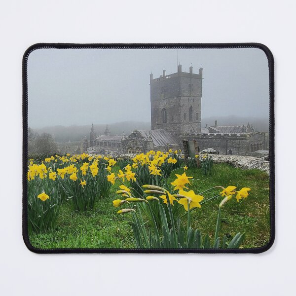 Item preview, St Davids Special designed and sold by AnthonyThomas.