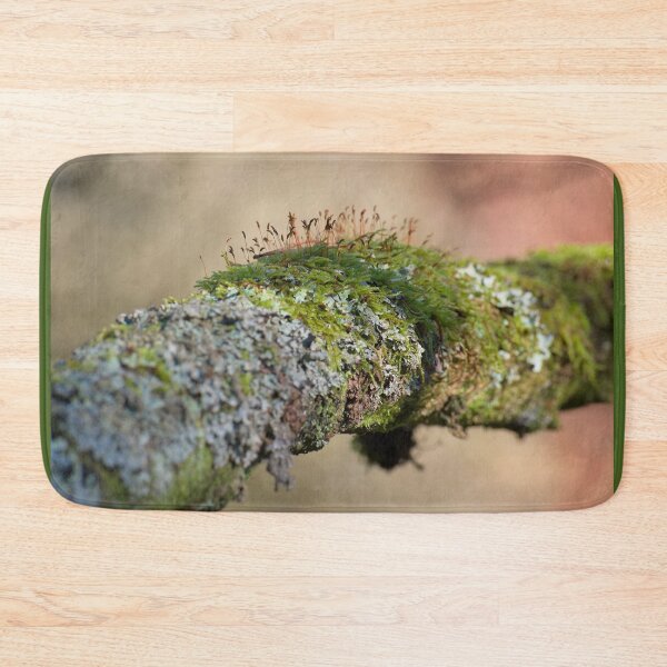 Item preview, Moss growing on tree branch designed and sold by Stephen Jarman.