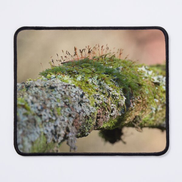 Item preview, Moss growing on tree branch designed and sold by Stephen Jarman.