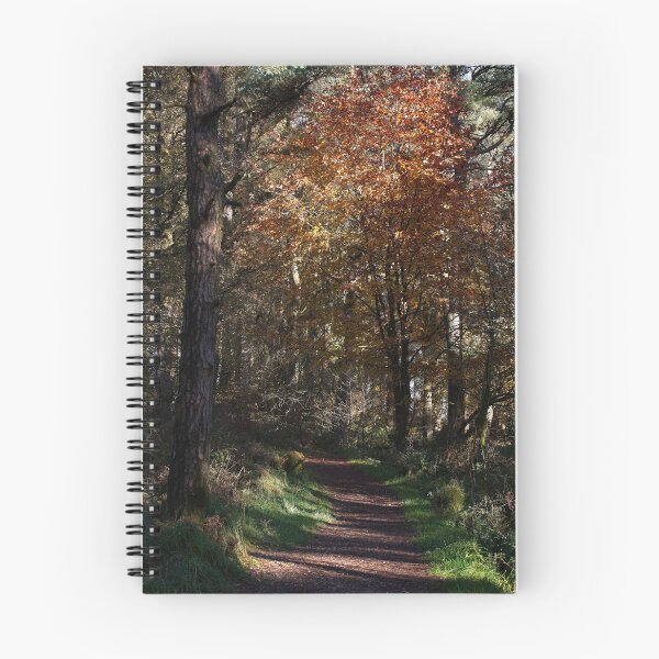 Item preview, Autumn woodland forest footpath designed and sold by Stephen Jarman.