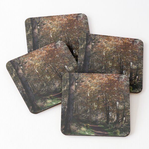Item preview, Autumn woodland forest footpath designed and sold by Stephen Jarman.