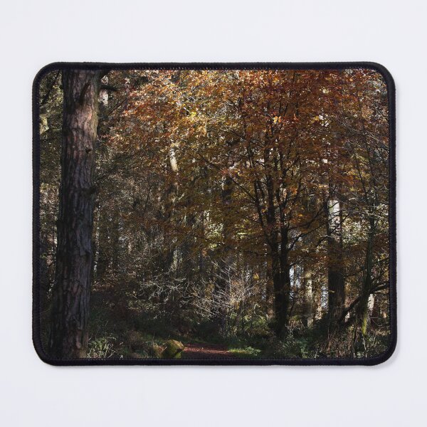 Item preview, Autumn woodland forest footpath designed and sold by Stephen Jarman.