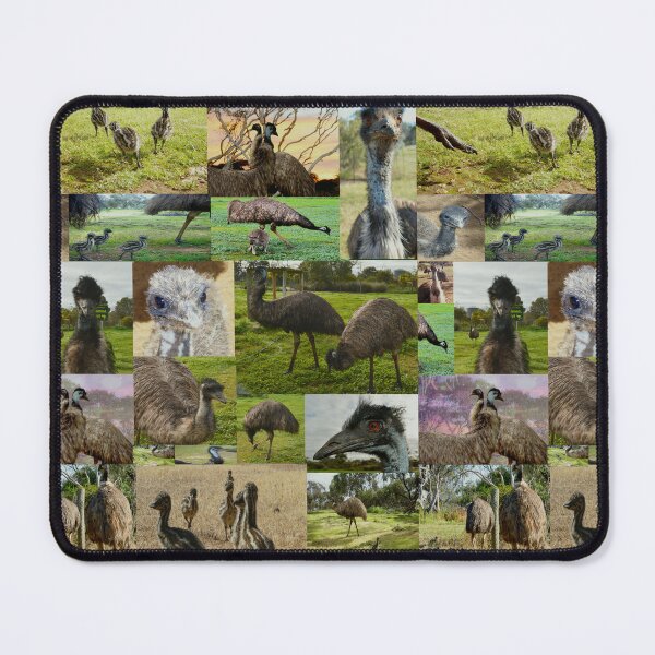 Item preview, Australian Emus And Chicks Photo Collage, designed and sold by A-Work-Of-Art.