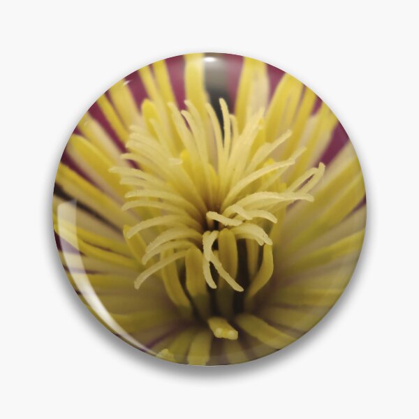 Item preview, Beautiful Yellow Blooming Flower Digital Photography Art designed and sold by vtspatial.