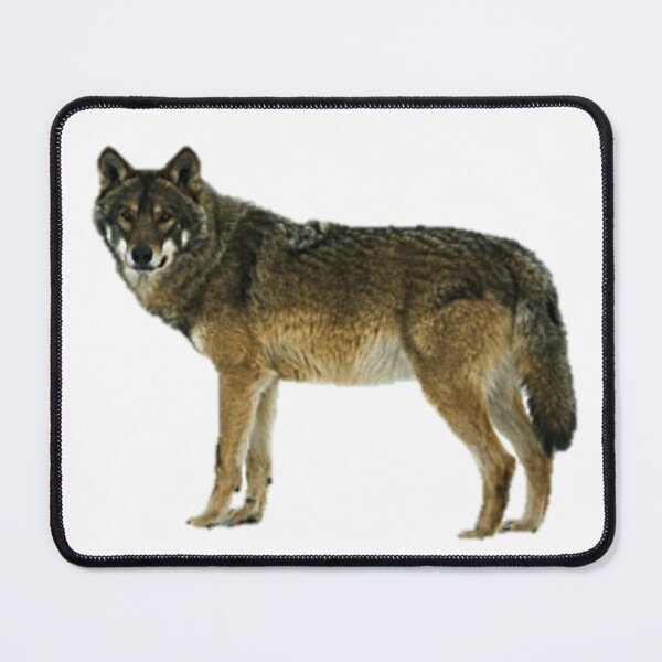 Item preview, Beautiful Wolf Design designed and sold by NoxLand.
