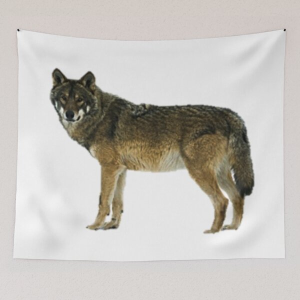 Item preview, Beautiful Wolf Design designed and sold by NoxLand.