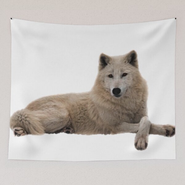 Item preview, Beautiful White Wolf Design designed and sold by NoxLand.