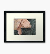 Pancake! Framed Print
