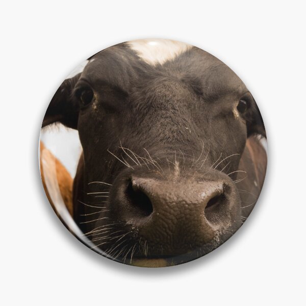 Item preview, Curious Black and White Cow Close Up Photography designed and sold by StSDigs.