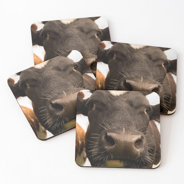Item preview, Curious Black and White Cow Close Up Photography designed and sold by StSDigs.